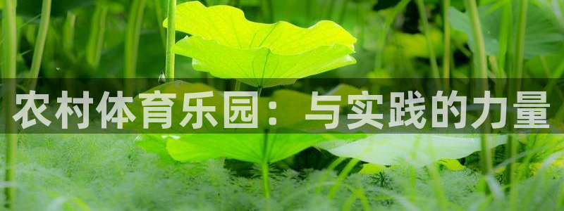 农村体育乐园：与实践的力量